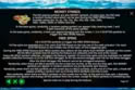 Big Bass Bonanza 3 Reeler