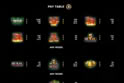 Super 20 Stars