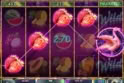 Flamingo Paradise