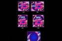 Super 15 Stars