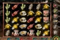 Gold Rush Riches