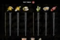 Gold Rush Riches