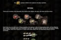 Gold Rush Riches