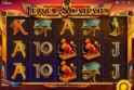 Jewel Scarabs