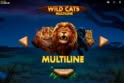 Wild Cats Multiline