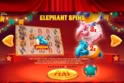 Wild Circus