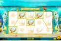 Ocean Fortune