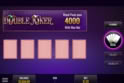 Double Joker Multi-Hand
