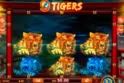 9 Tigers