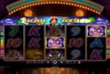 Lucky Fortune