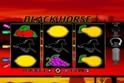 Black Horse™