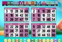 Bingo Billion Llama