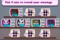Bingo Gatinho