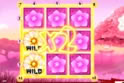 8 Flowers