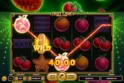 Fruit Cash Hold n' Link