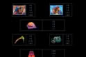 9k Yeti