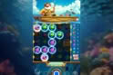 Wild Fish Hunter