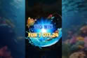 Wild Fish Hunter