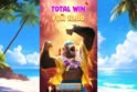 Surf Monkey