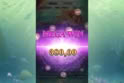Mermaid's Treasure