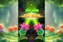 Lulu's Enchanted Forest