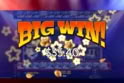 Big Bass Boxing Bonus Round