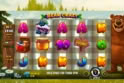 Bear Crazy