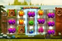 Bear Crazy