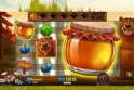 Bear Crazy