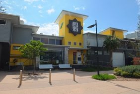 Alex Surf Club
