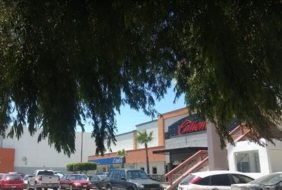 Caliente Casino TecateE Los Encinos