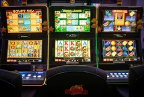 Maxbet Orhideea