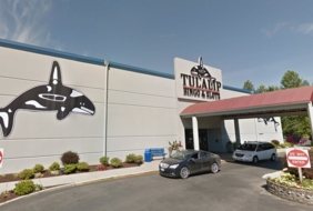 Tulalip Bingo