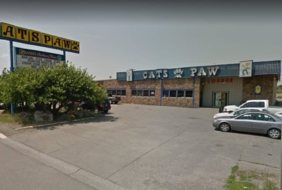 Cats Paw Cardroom