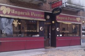 Ungarnsk Vinstue
