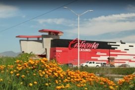Caliente Casino Pedro Loyola