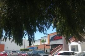 Caliente Casino TecateE Los Encinos