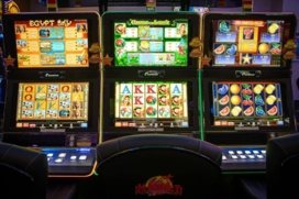 Maxbet Orhideea